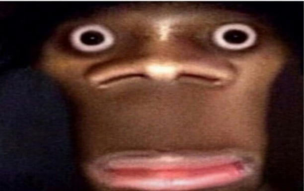 GAMeR