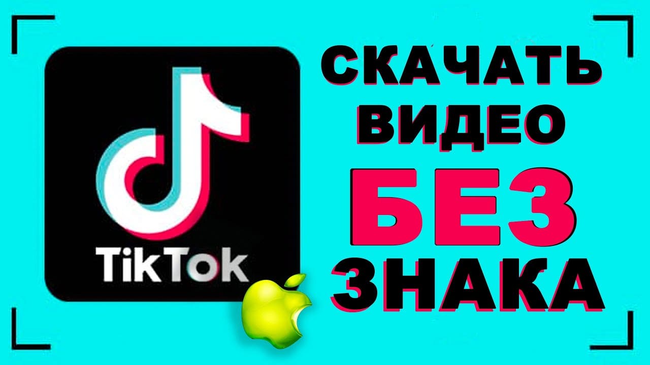 скачать видео по ссылке